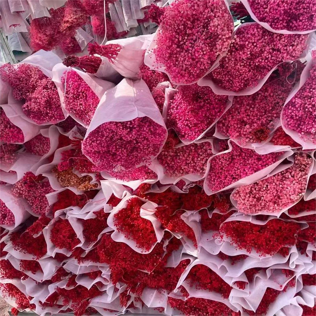120g/430g Wholesale Home Decoration Preserved Gypsophila Dried Baby Breath Flowers for Wedding Bouquet