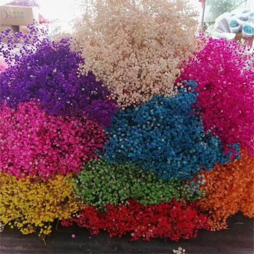 120g/430g Wholesale Home Decoration Preserved Gypsophila Dried Baby Breath Flowers for Wedding Bouquet