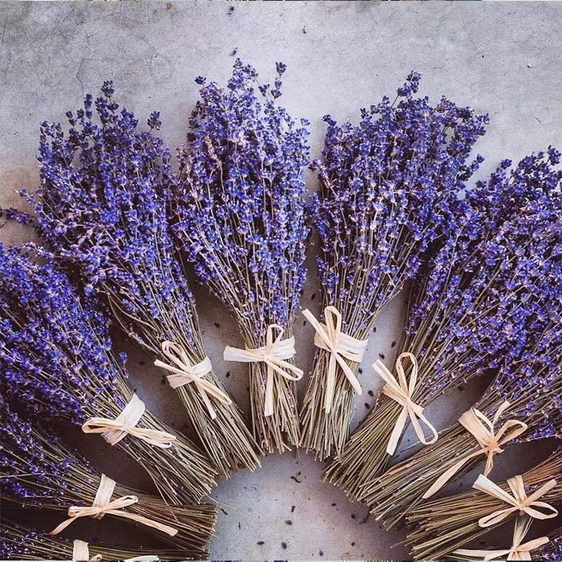 High Quality flowers 80g/bundle Customized Bouquet Blue Dried Lavender Flowers for home/wedding decoration