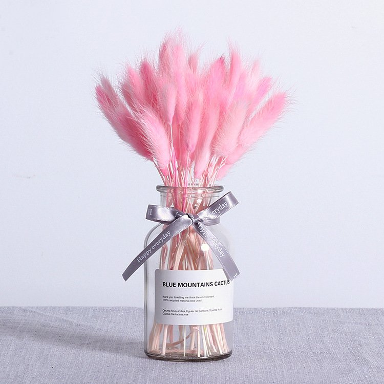 Wholesale A grade 50pcs/bunch dried rabbit tail grass Dried Flowers and Plants