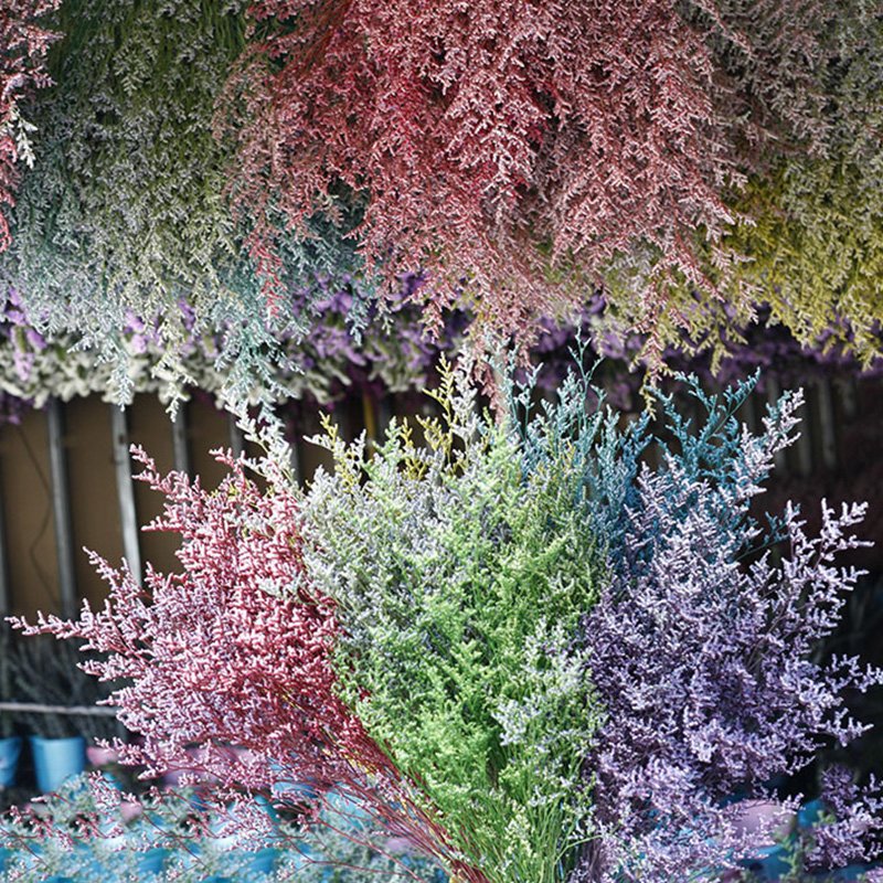 Eternal Flowers Environmental Protection Dried Flowers Party Decorations Home Decor Bouquet Dried Caspia Flower