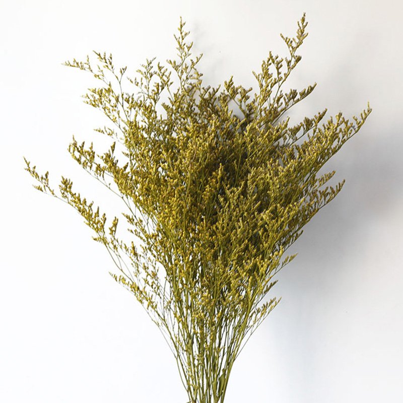 Eternal Flowers Environmental Protection Dried Flowers Party Decorations Home Decor Bouquet Dried Caspia Flower