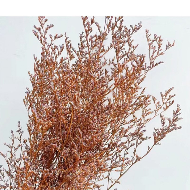 Eternal Flowers Environmental Protection Dried Flowers Party Decorations Home Decor Bouquet Dried Caspia Flower