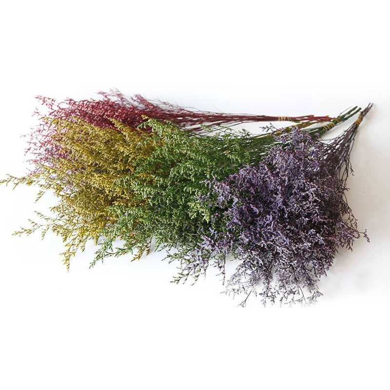 Eternal Flowers Environmental Protection Dried Flowers Party Decorations Home Decor Bouquet Dried Caspia Flower