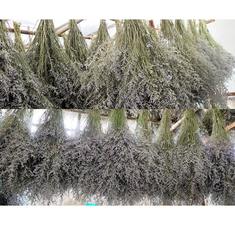 Eternal Flowers Environmental Protection Dried Flowers Party Decorations Home Decor Bouquet Dried Caspia Flower