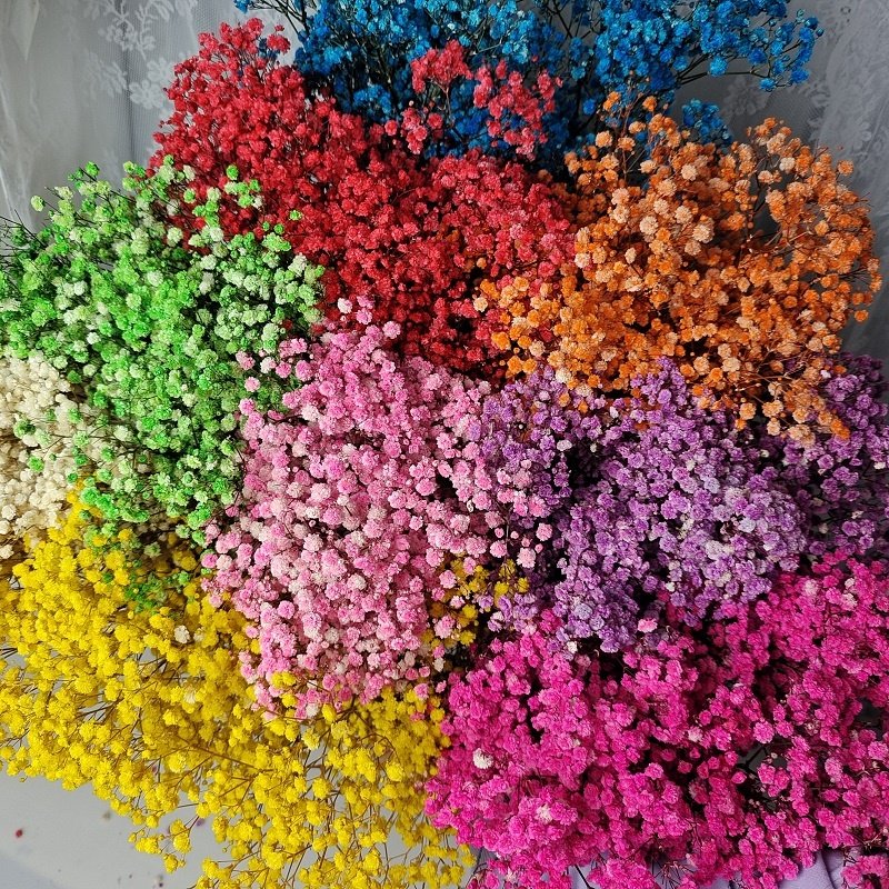 120g/400g Preserved Natural Gypsophila Dried Baby's Breath Flower Bouquets Gift for Wedding Decoration Home Decor