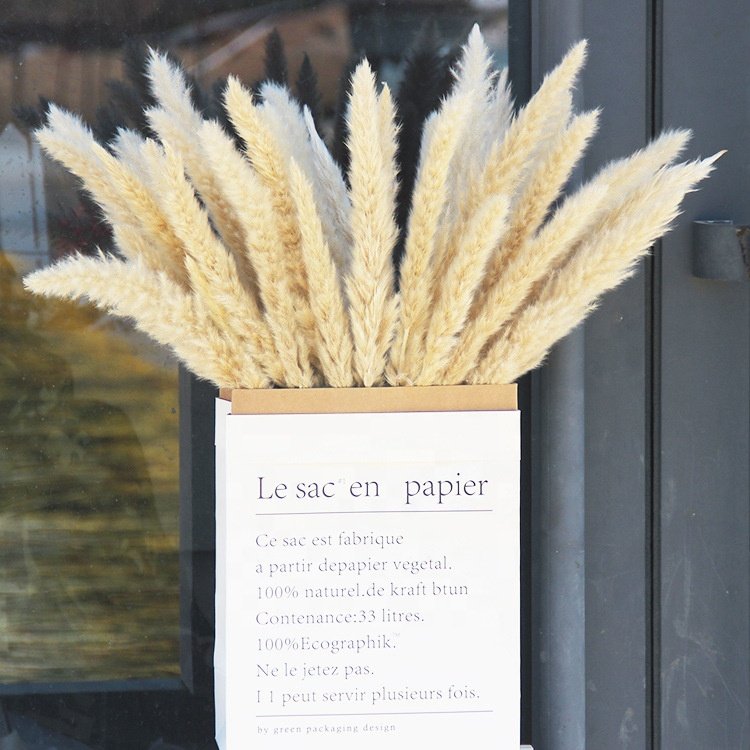 Wholesale grass decor dried flowers wedding decoration immortal flower shooting props big grass