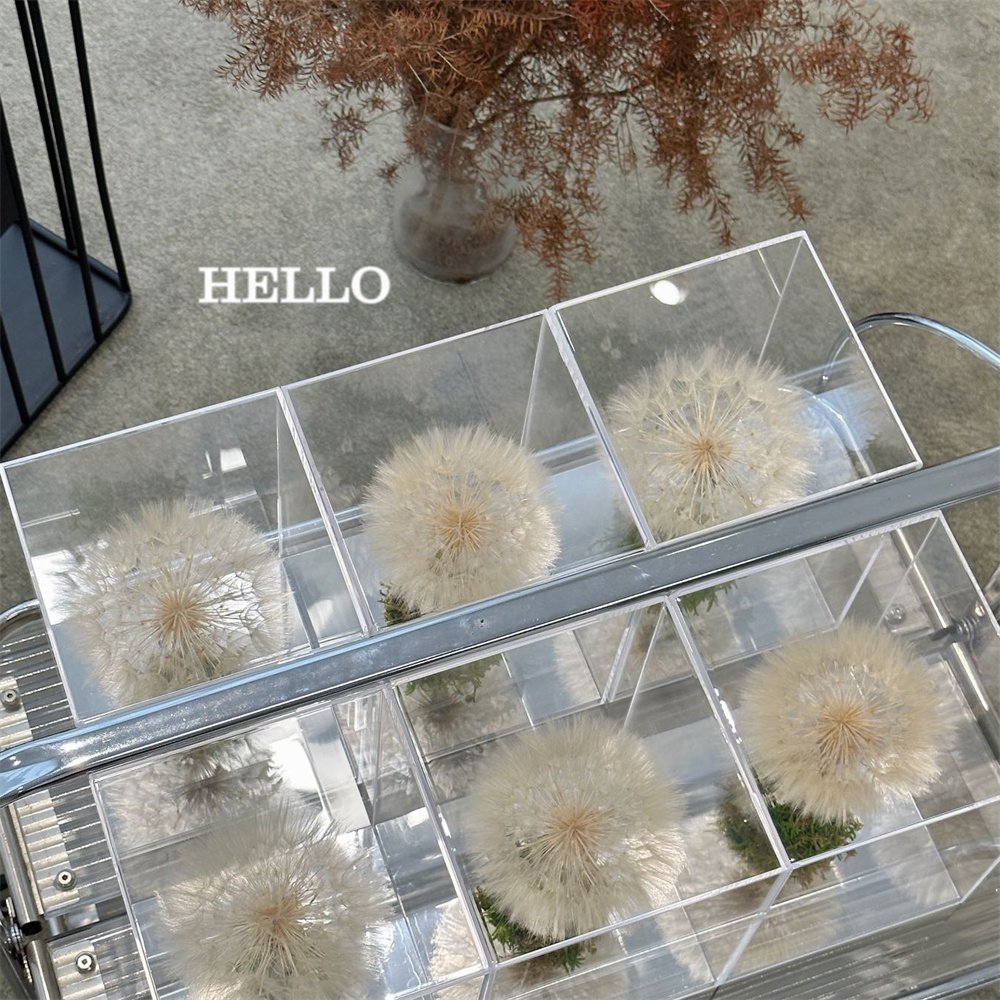 Popular mirror face Gift Box Romantic Design Real Natural Immortal Forever Eternal Preserved Dried Dandelion Flowers