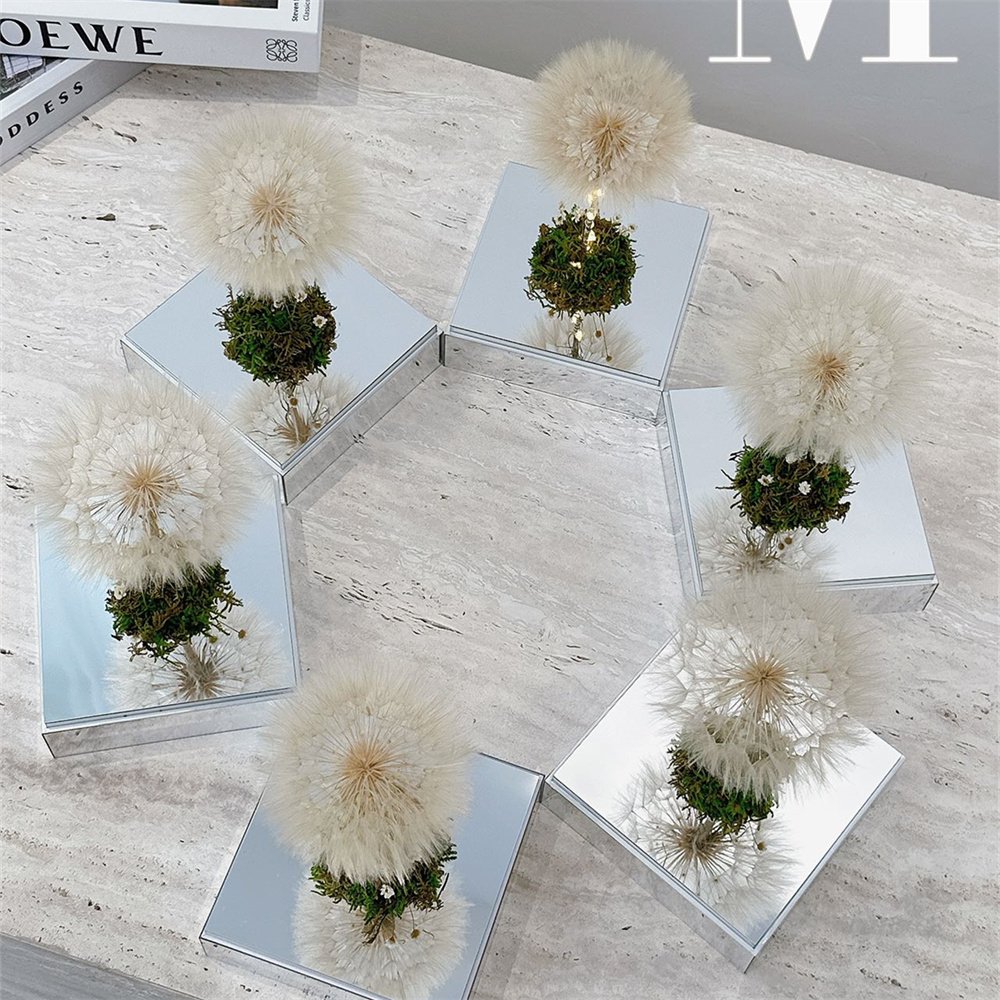 Popular mirror face Gift Box Romantic Design Real Natural Immortal Forever Eternal Preserved Dried Dandelion Flowers