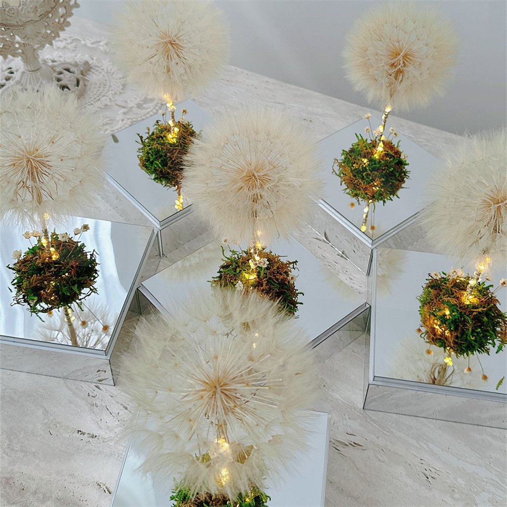 Popular mirror face Gift Box Romantic Design Real Natural Immortal Forever Eternal Preserved Dried Dandelion Flowers