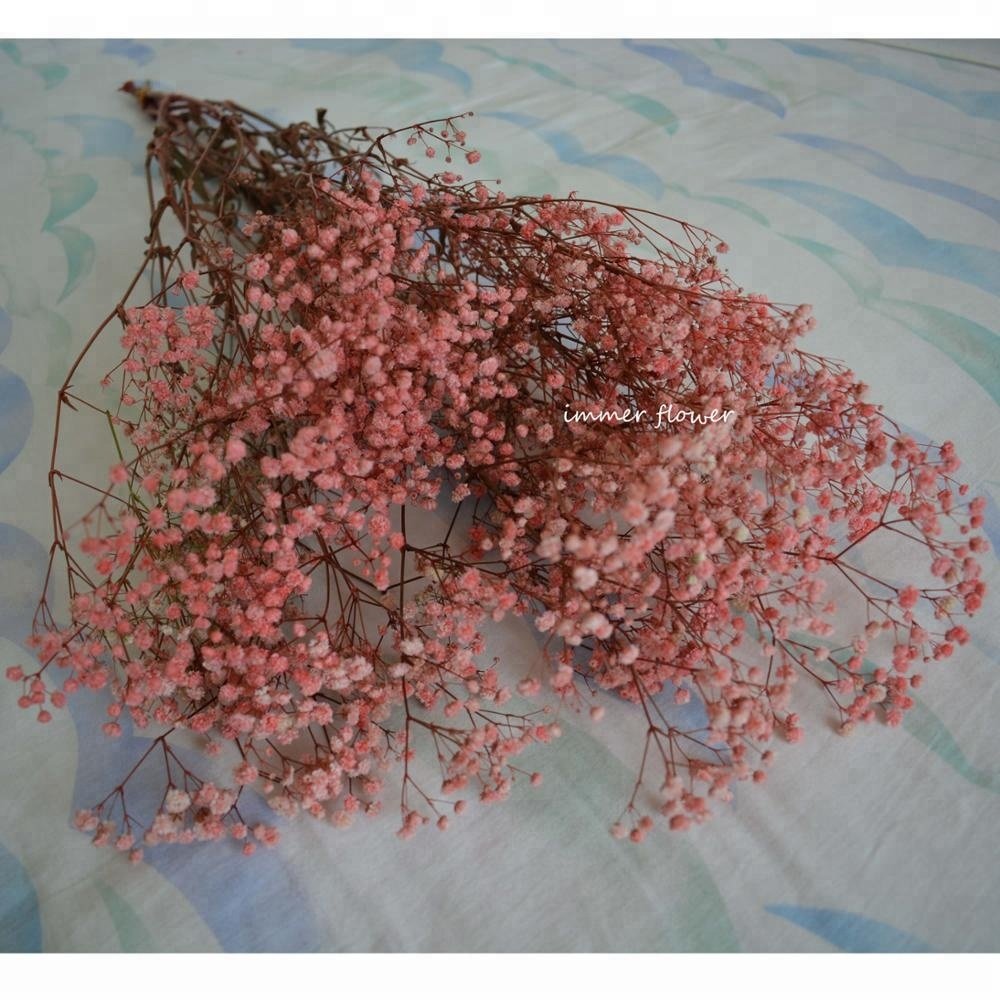 Dried Flowers Babysbreath Preserved Flowers Making DIY Materials