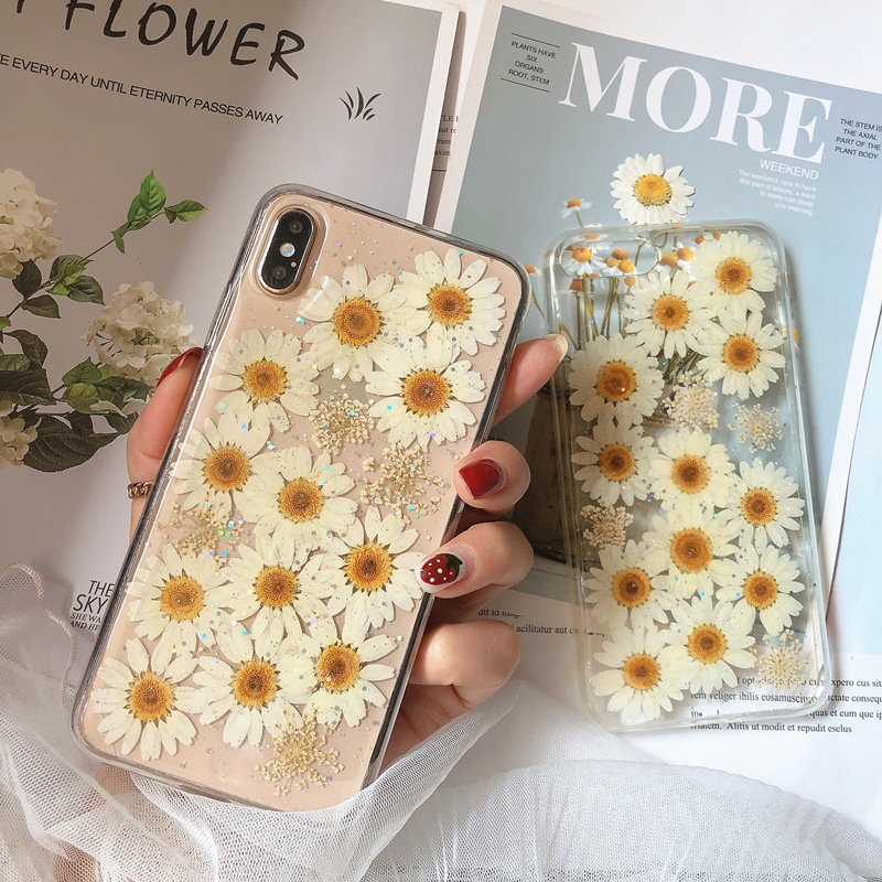 Factory Supplied Real Dried Pressed Flower Color-dyed Pressed Daisy Dried Flowers