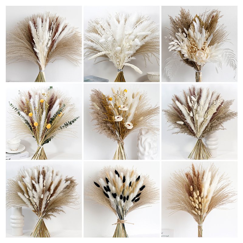 Dried Flowers Bouquet natural plants Wall mounted boho home decor dry flower pampas grass bouquet decorative flowers