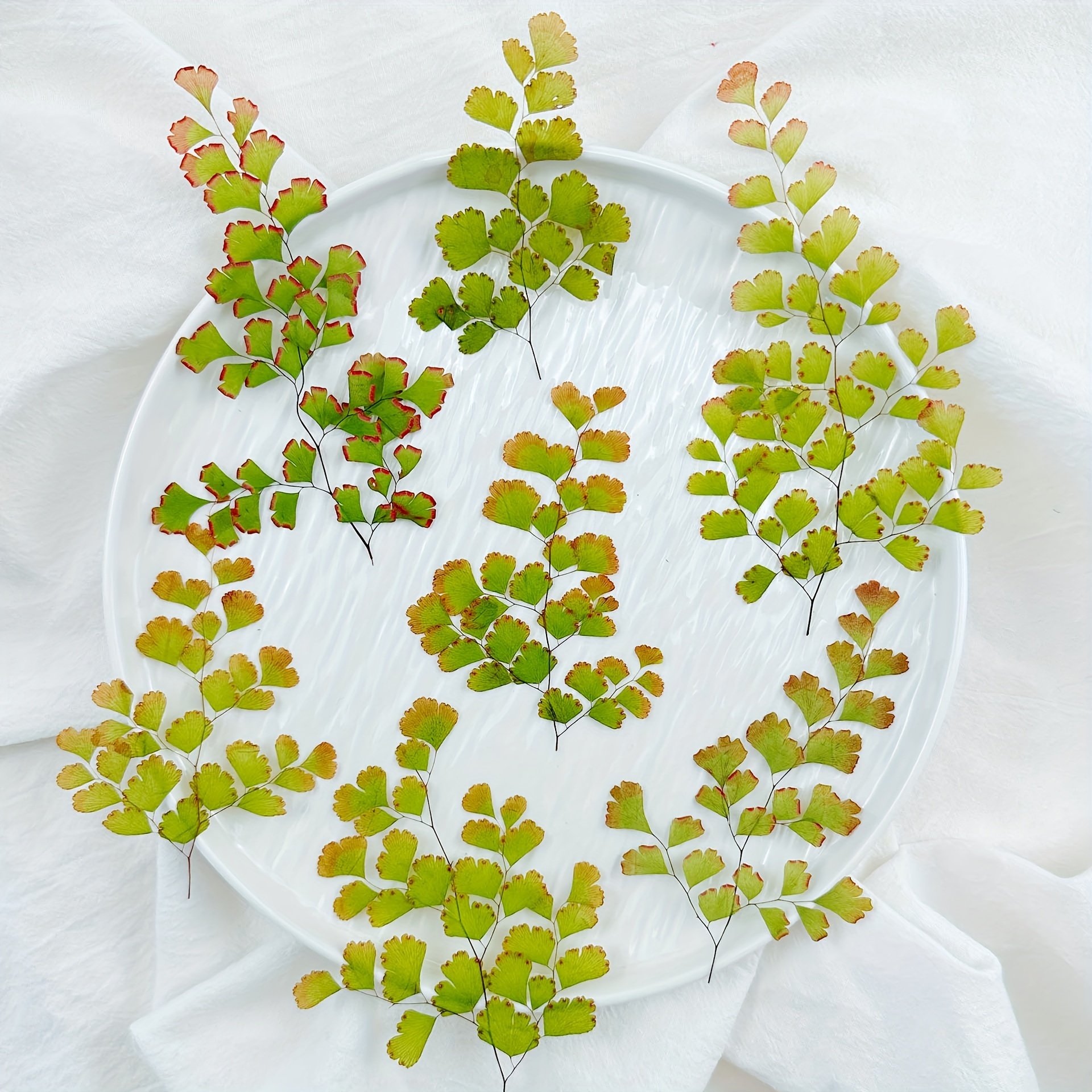 Mini Package Petals Frame Pressed Preserved Dry Natural Plants Dried Flower For Nails Candles Resin Epoxy Phone Case