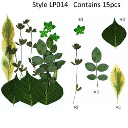 JH-LP014
