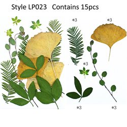 JH-LP023