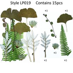 JH-LP019