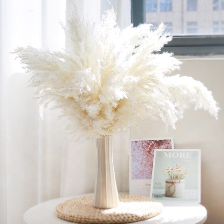 Original color small reed firewood immortal flower home wedding christmas DIY decoration pampas grass pampas reed dried flowers
