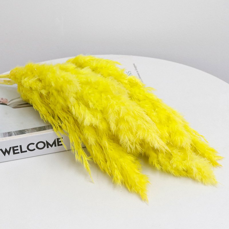 Original color small reed firewood immortal flower home wedding christmas DIY decoration pampas grass pampas reed dried flowers