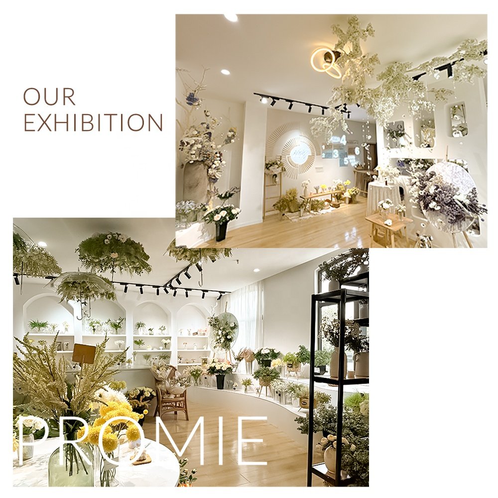 Factory Wholesale Dried Amazon's Hot Sell Home Decor Preserved Flowers Plants Wedding Billy Balls