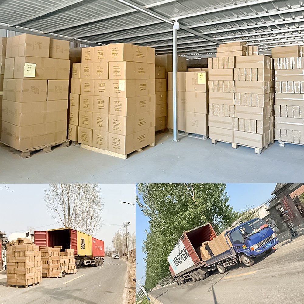Factory Wholesale Dried Amazon's Hot Sell Home Decor Preserved Flowers Plants Wedding Billy Balls