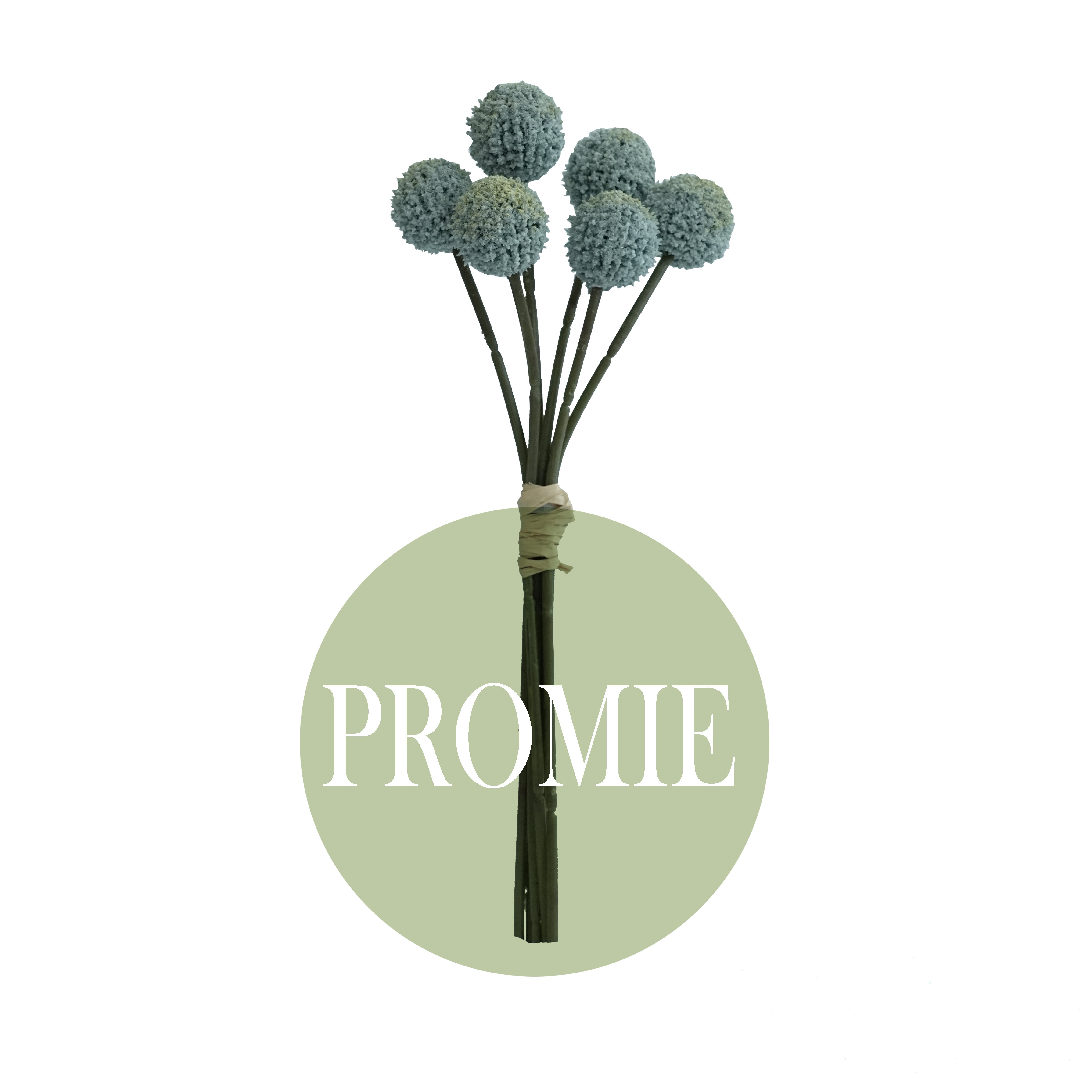 Factory Wholesale Dried Amazon's Hot Sell Home Decor Preserved Flowers Plants Wedding Billy Balls