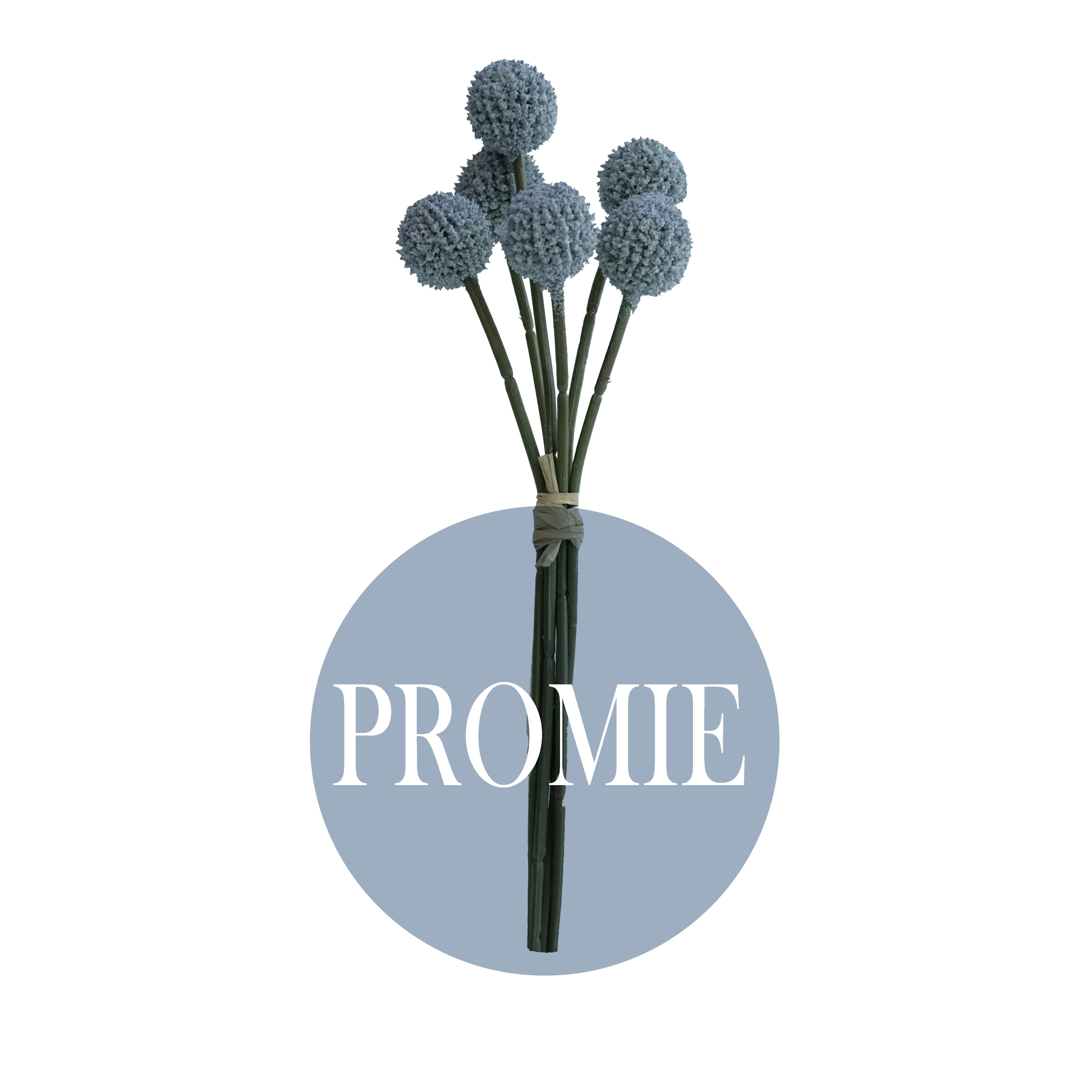 Factory Wholesale Dried Amazon's Hot Sell Home Decor Preserved Flowers Plants Wedding Billy Balls