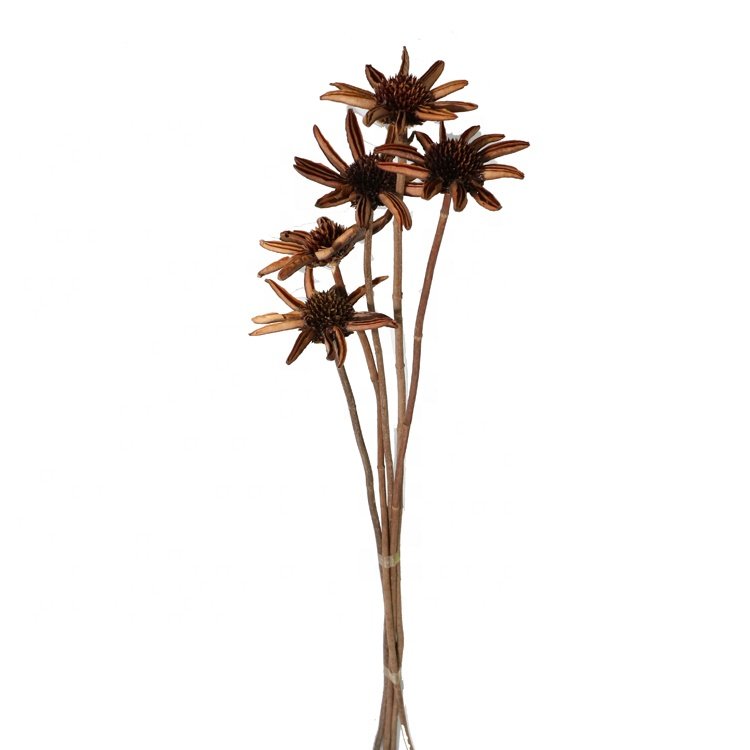 boho dried flowers dried flowers & plants home decoration customized dried flowers bouquet