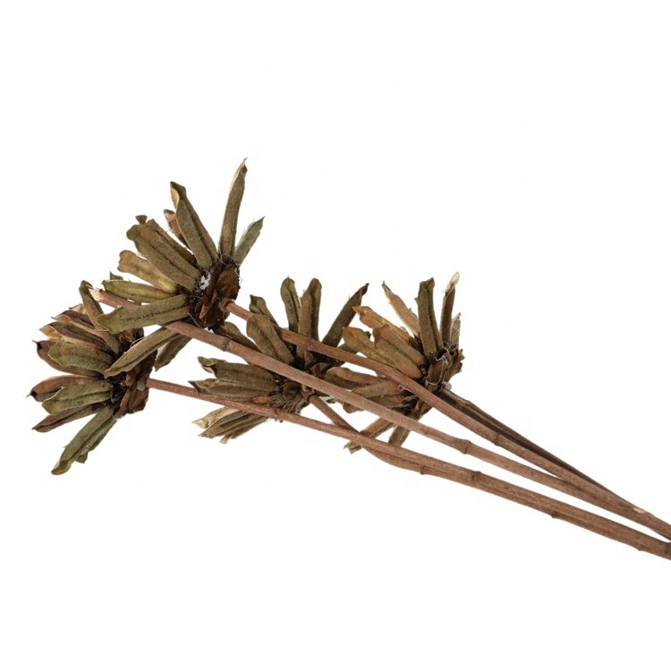 boho dried flowers dried flowers & plants home decoration customized dried flowers bouquet