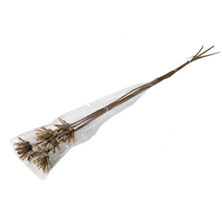 boho dried flowers dried flowers & plants home decoration customized dried flowers bouquet