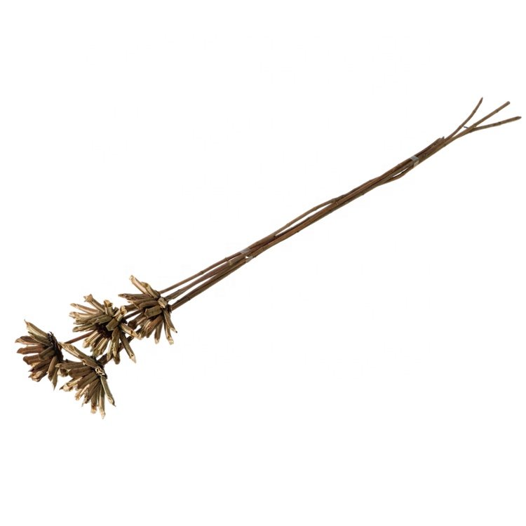 boho dried flowers dried flowers & plants home decoration customized dried flowers bouquet