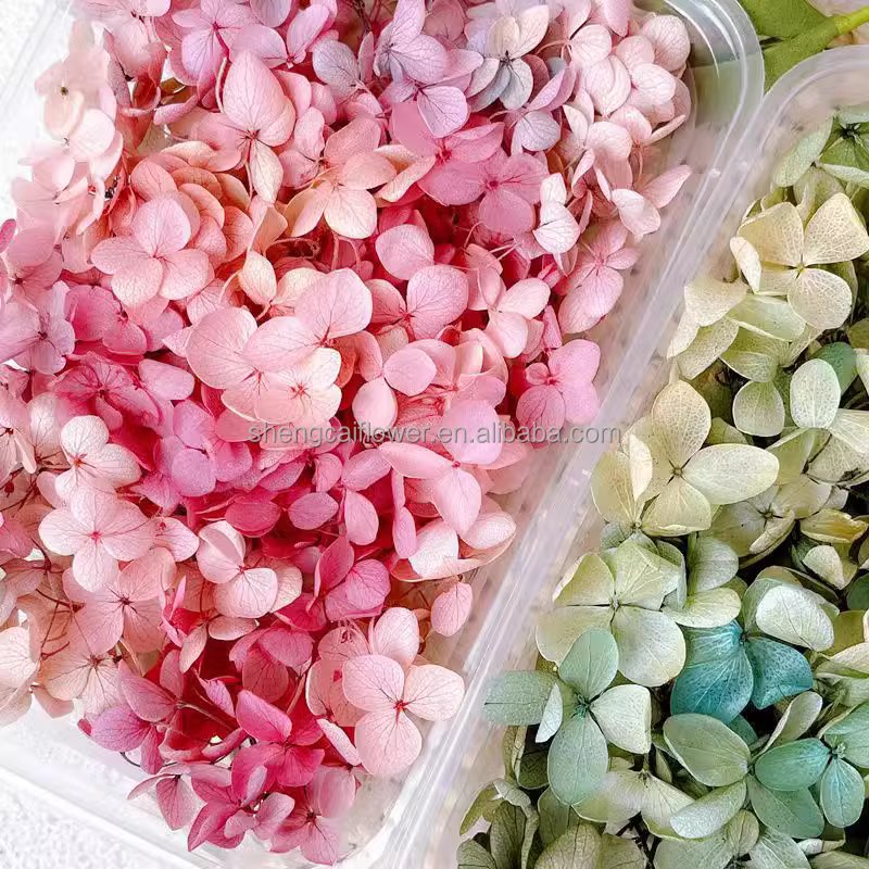 Natural Dried Petals Flowers for Diy Craft Petal Flower Petal Nail Art Supplies Preserved Hydrangea
