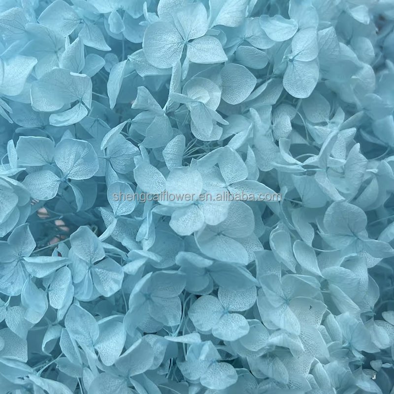 Natural Dried Petals Flowers for Diy Craft Petal Flower Petal Nail Art Supplies Preserved Hydrangea