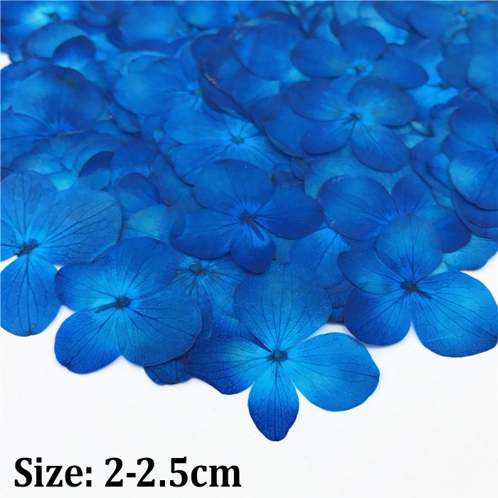 Hydrangea Laurustinus natural preserved flowers dried pressed flower for resin soap