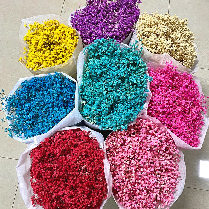 Decoration Flower Dream Star Natural Preserved Babys Breath Dry Gypsophila for Wedding & Home &DIY decor