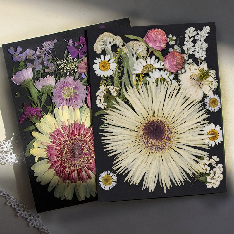 20pcs/set Mixed Real Dry Flower Set for Specimen Teaching Handmade Photo Frame Bookmark Mobile Phone Painting Package Material
