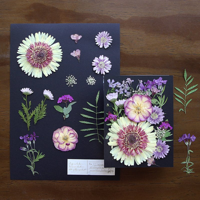 20pcs/set Mixed Real Dry Flower Set for Specimen Teaching Handmade Photo Frame Bookmark Mobile Phone Painting Package Material