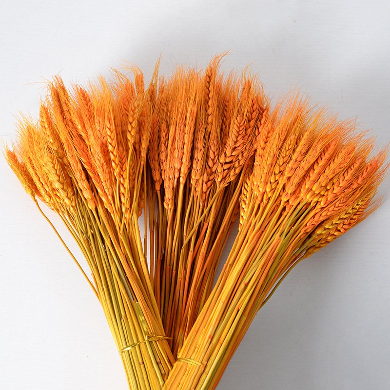 rusen golden yellow natural wheat dried flower bouquet plant wholesale opened barley basket decoration shooting props fac