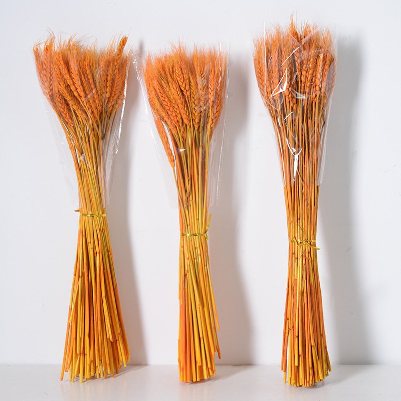 rusen golden yellow natural wheat dried flower bouquet plant wholesale opened barley basket decoration shooting props fac