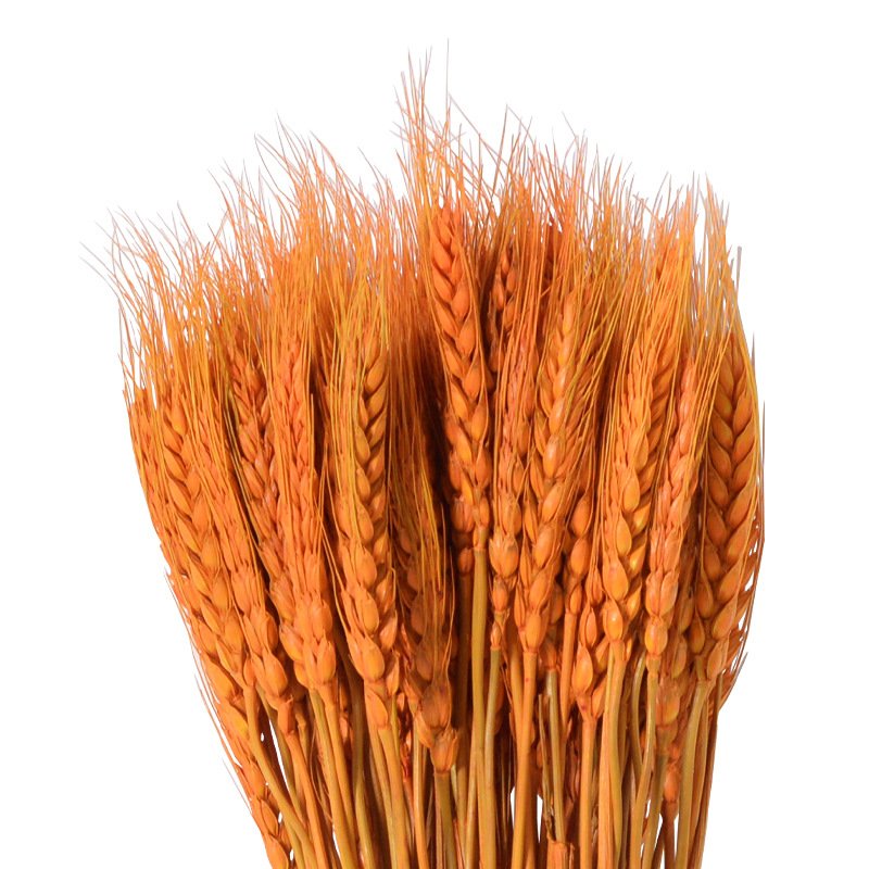 rusen golden yellow natural wheat dried flower bouquet plant wholesale opened barley basket decoration shooting props fac