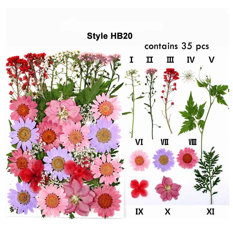 Classic Colorful Multi Pressed Flower Box Used For Phone Case Resin Crafts Bookmark Natural Dried Flowers