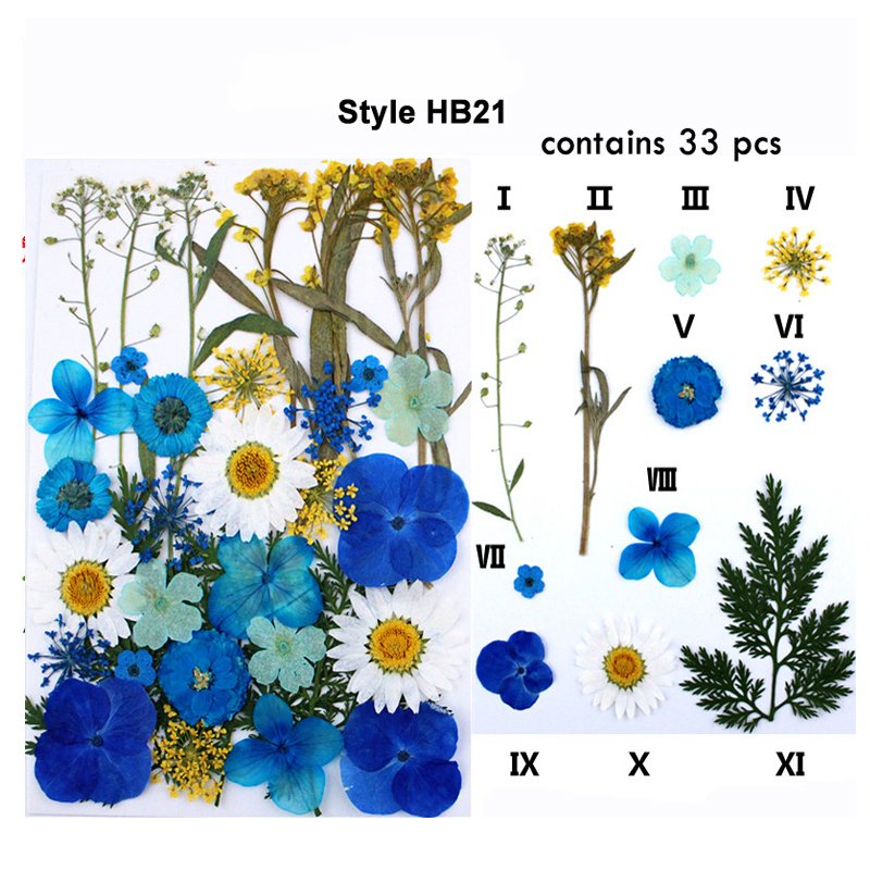 Classic Colorful Multi Pressed Flower Box Used For Phone Case Resin Crafts Bookmark Natural Dried Flowers