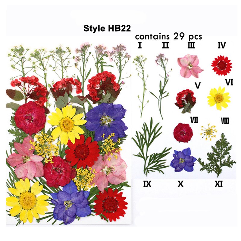Classic Colorful Multi Pressed Flower Box Used For Phone Case Resin Crafts Bookmark Natural Dried Flowers