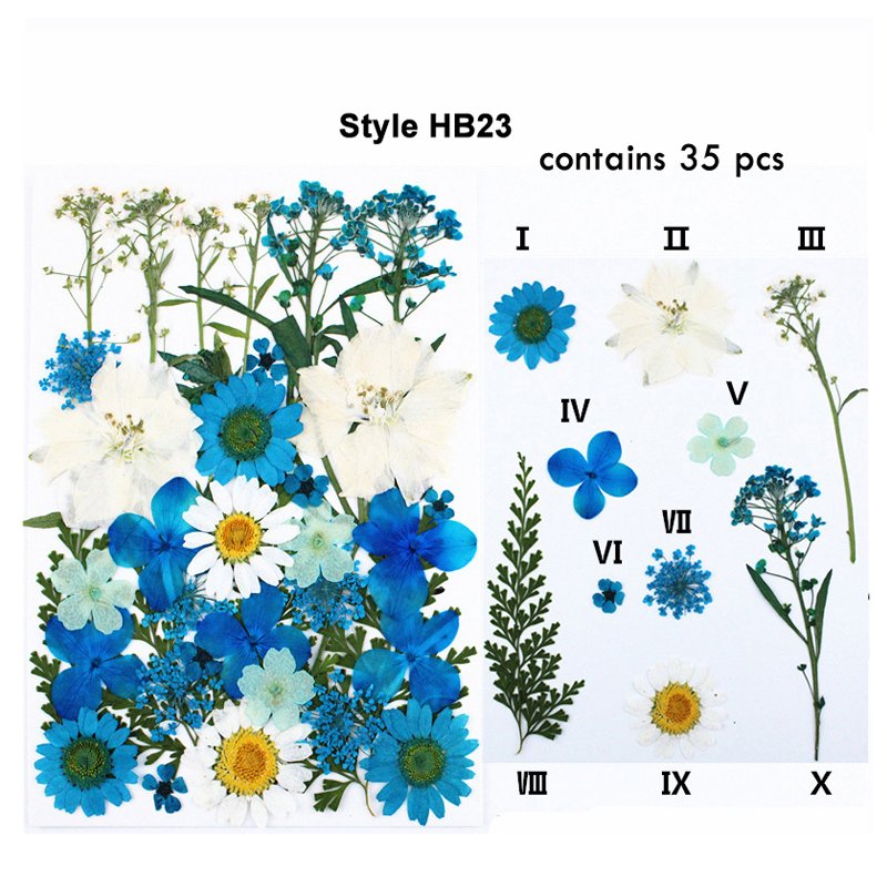 Classic Colorful Multi Pressed Flower Box Used For Phone Case Resin Crafts Bookmark Natural Dried Flowers