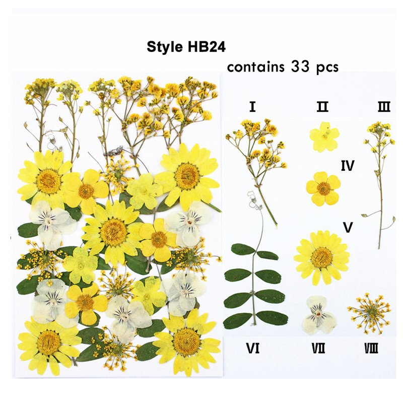 Classic Colorful Multi Pressed Flower Box Used For Phone Case Resin Crafts Bookmark Natural Dried Flowers