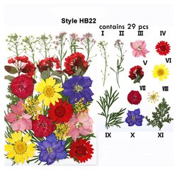 HB-22