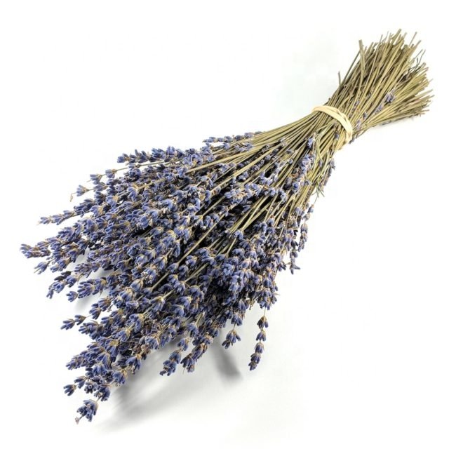 Wholesale high quality available dried lavender for dried flower bouquets