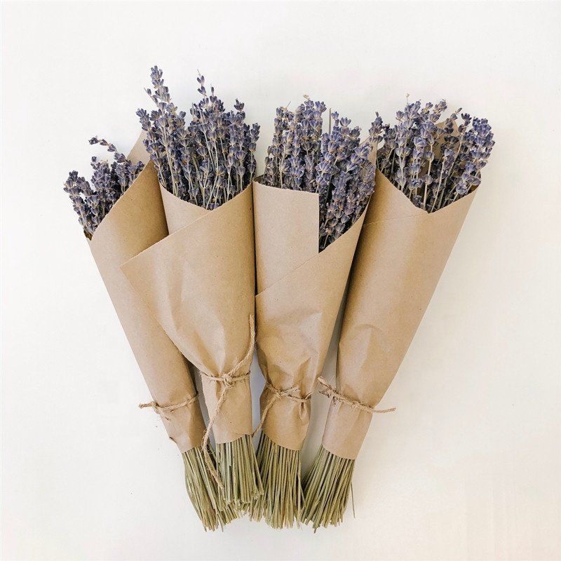 Wholesale high quality available dried lavender for dried flower bouquets