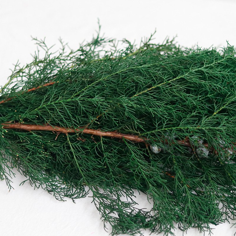 Christmas Decor Nature Preserved Real Pine and Cypress Leaves Bouquet For Wedding Home Decoration