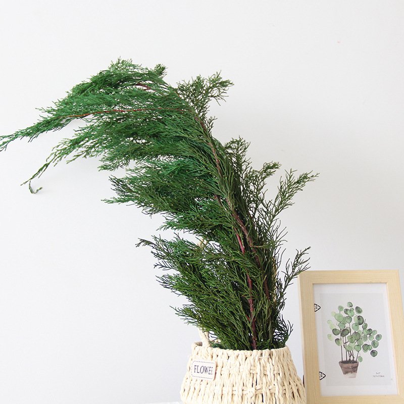Christmas Decor Nature Preserved Real Pine and Cypress Leaves Bouquet For Wedding Home Decoration